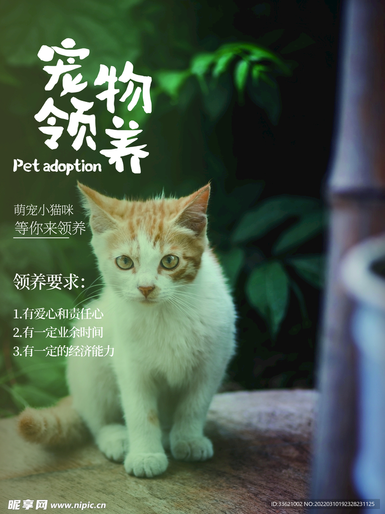 宠物海报  