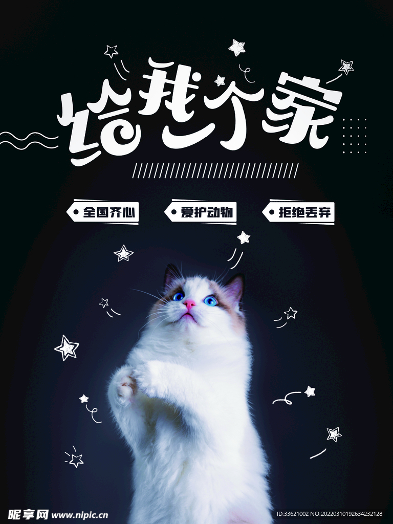 宠物海报 