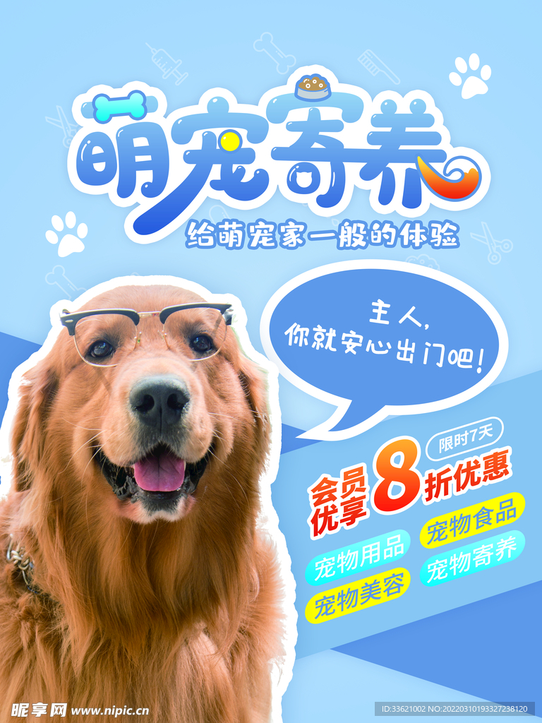 宠物海报 