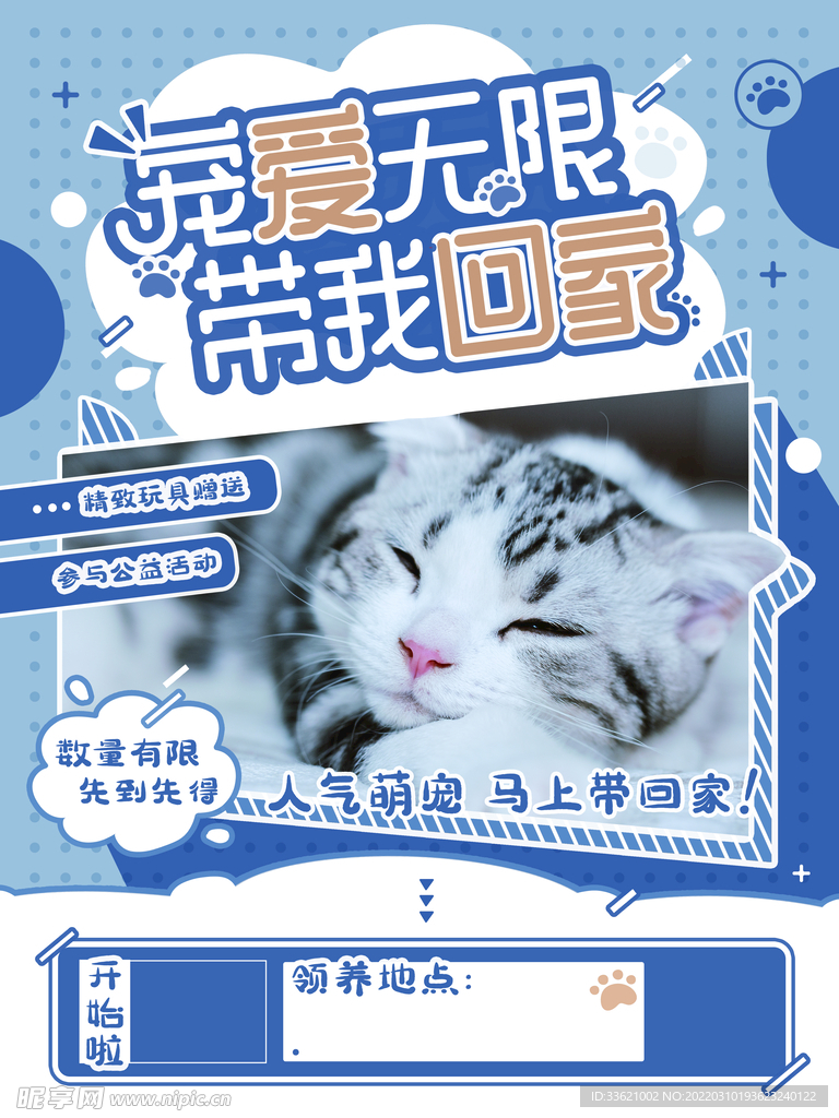 宠物海报 