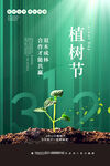 植树节