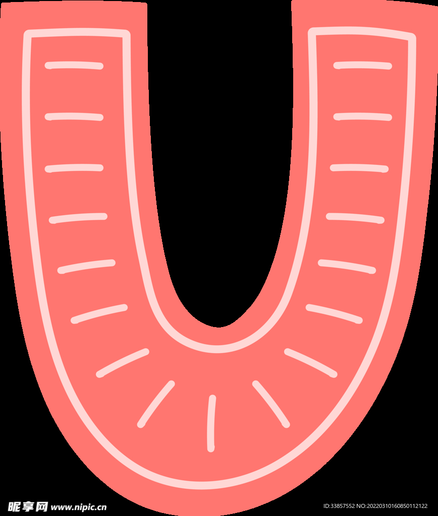 字母             