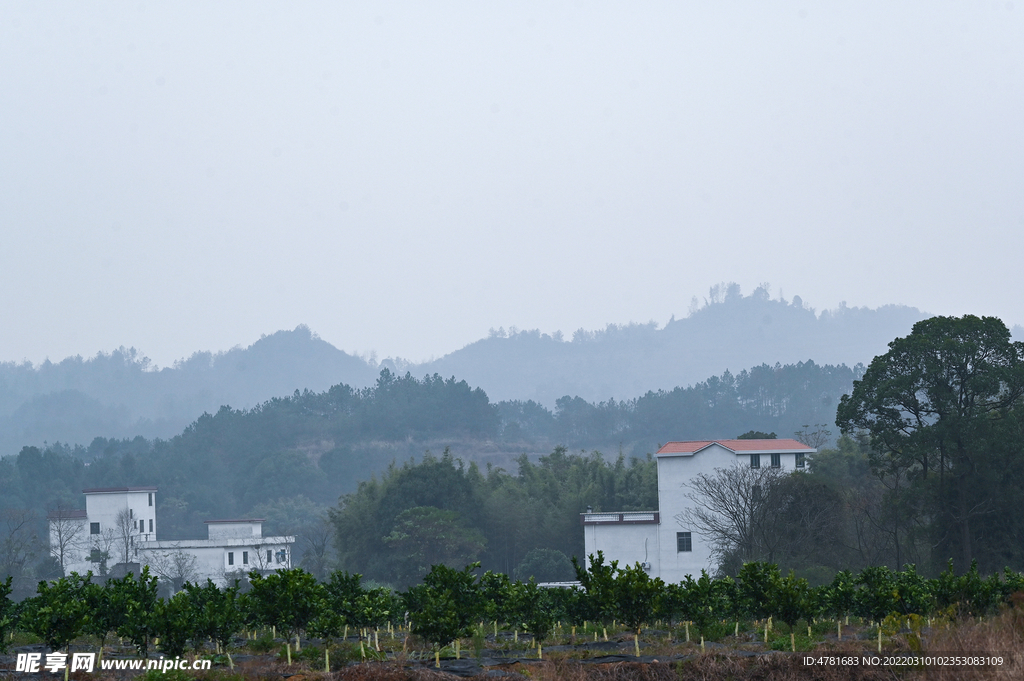 江南山村