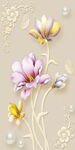 玉兰花