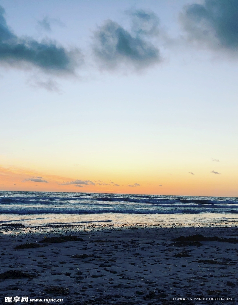 大海