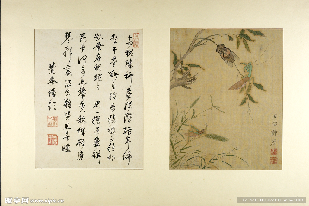 中国画 
