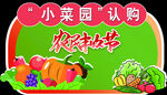 绿色蔬菜