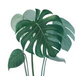 抽象 线条 底纹 素材 高端 