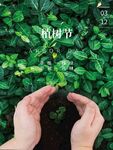植树节 