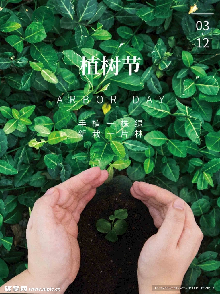 植树节 
