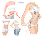 健美体型