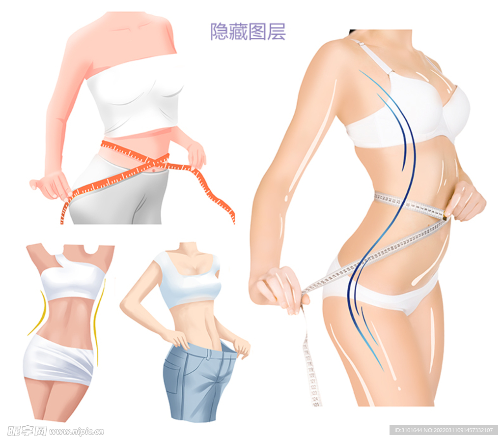 健美体型