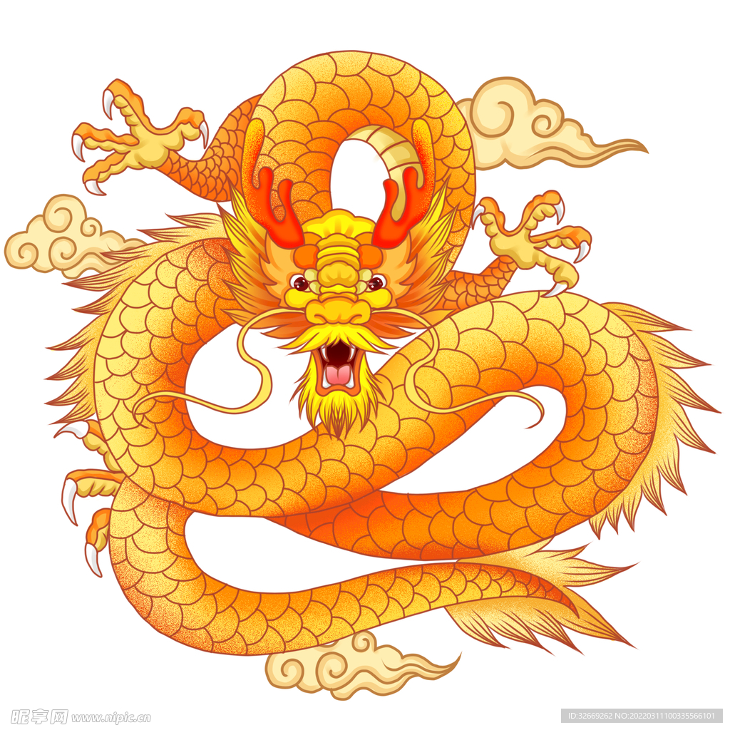 龙