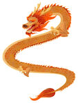 龙