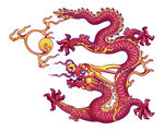龙