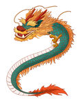 龙