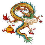 龙