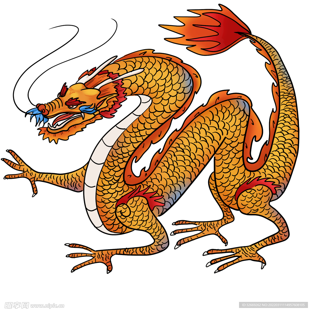 龙