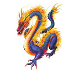 龙