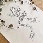 青蛙 手绘 