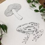 青蛙 蘑菇