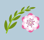 花朵
