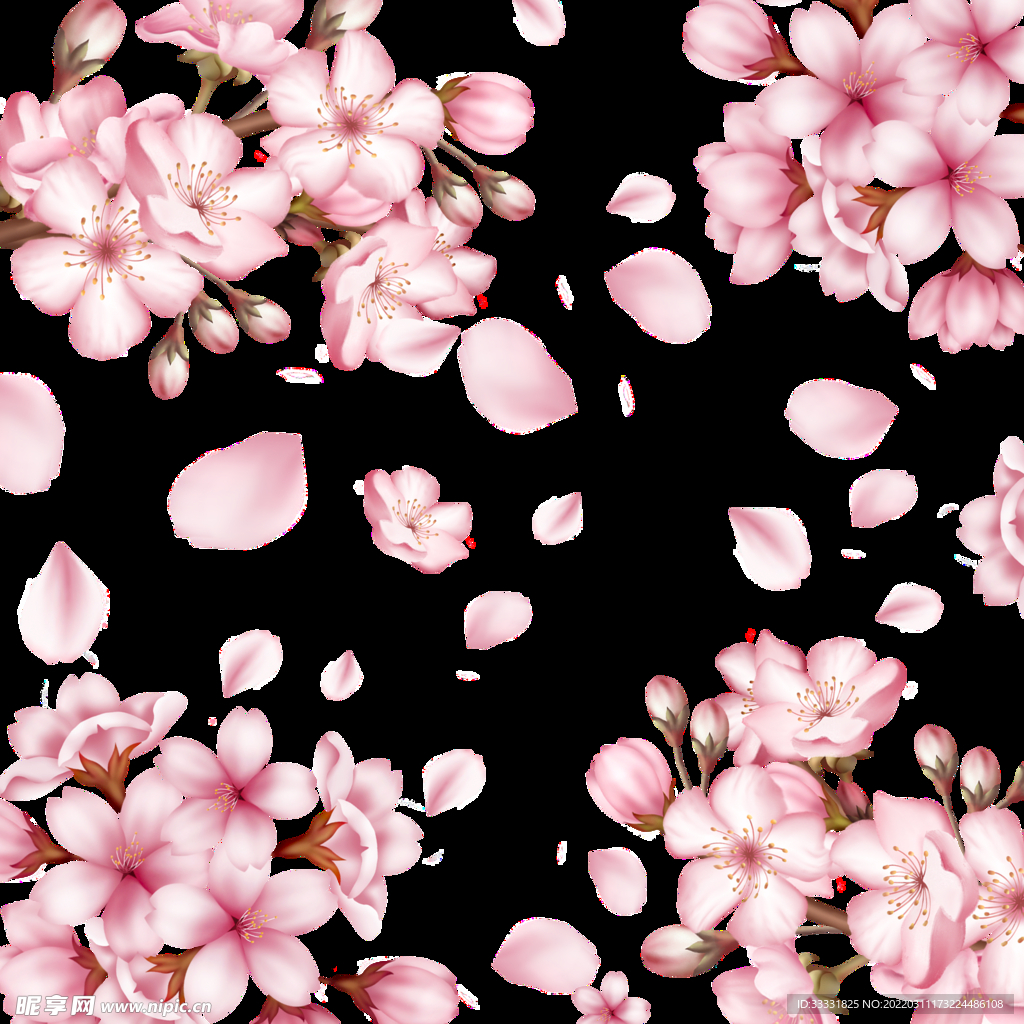 樱花