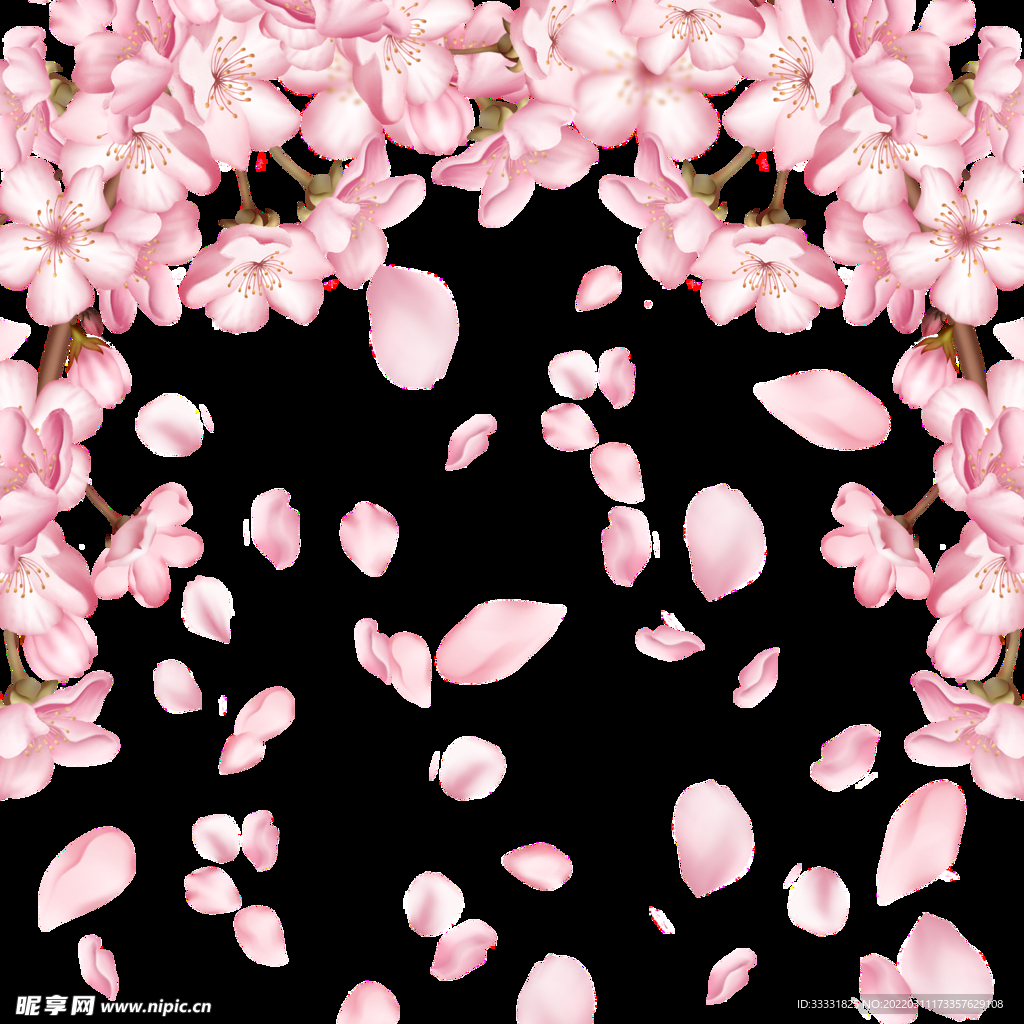 樱花