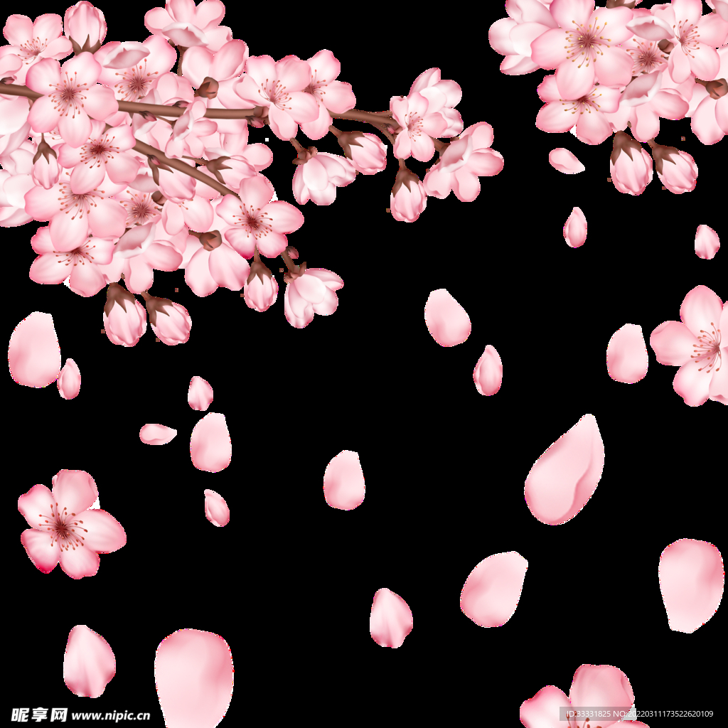 樱花
