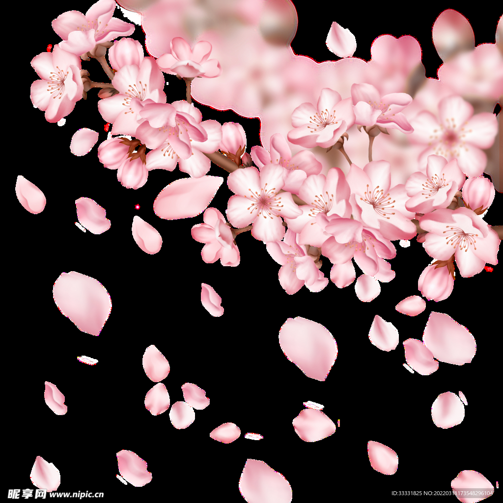 樱花