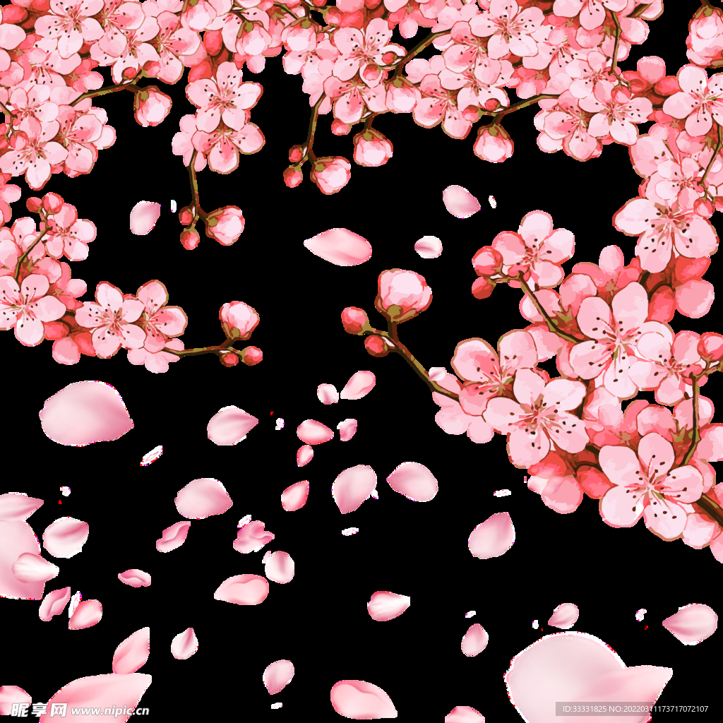 樱花