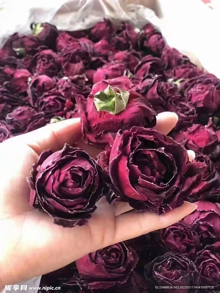 干玫瑰