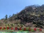 大山