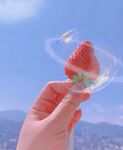 泡泡草莓