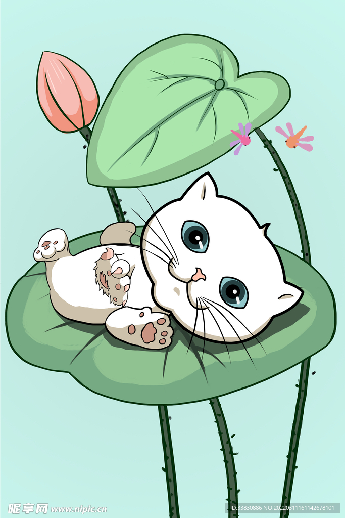 荷叶上的猫插画