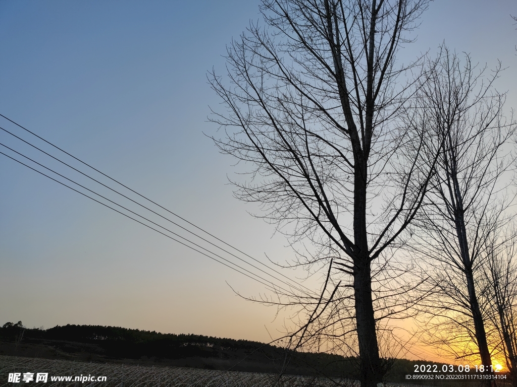 夕阳