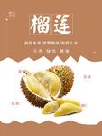 榴莲海报