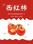 西红柿海报
