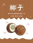 椰子海报