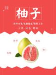 柚子海报