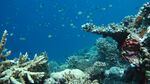 海底