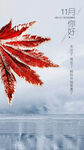 11月你好
