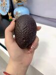 牛油果