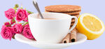 茶