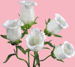 花束