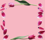 花框
