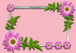 花框