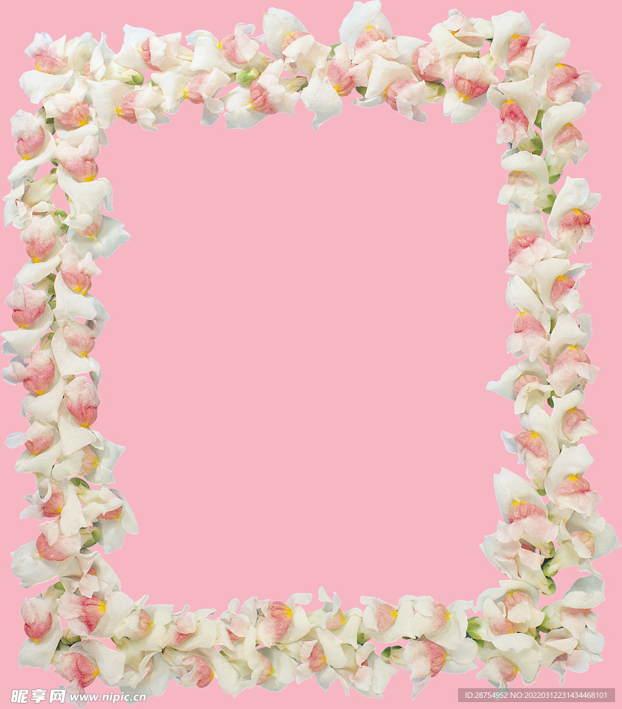 花框