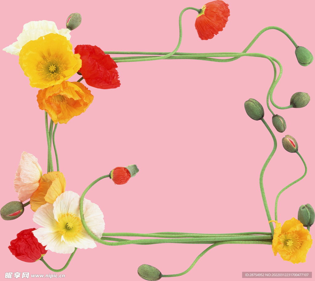花框