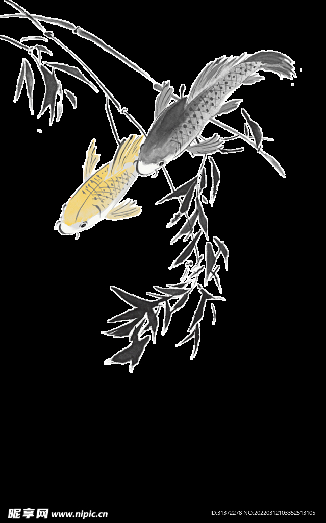  金鱼锦鲤手绘插画图片
